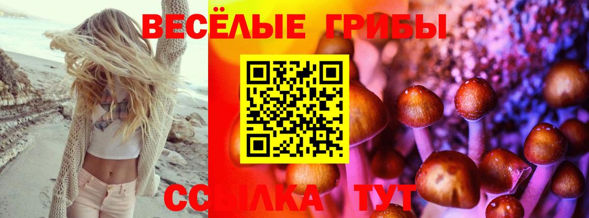 как найти закладки  Вход с VPN  Апрелевка  Галлюциногенные грибы мицелий 